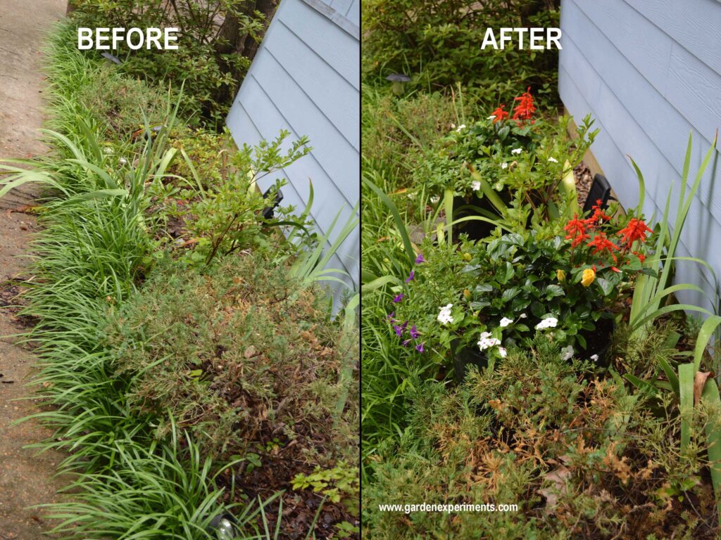 Container gardens to add color in spots with poor soil