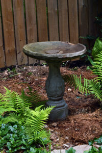 The old bird bath