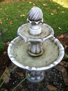 Birdbath