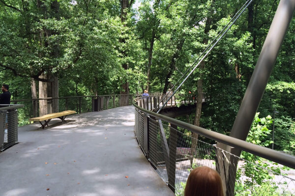 The Canopy Walk