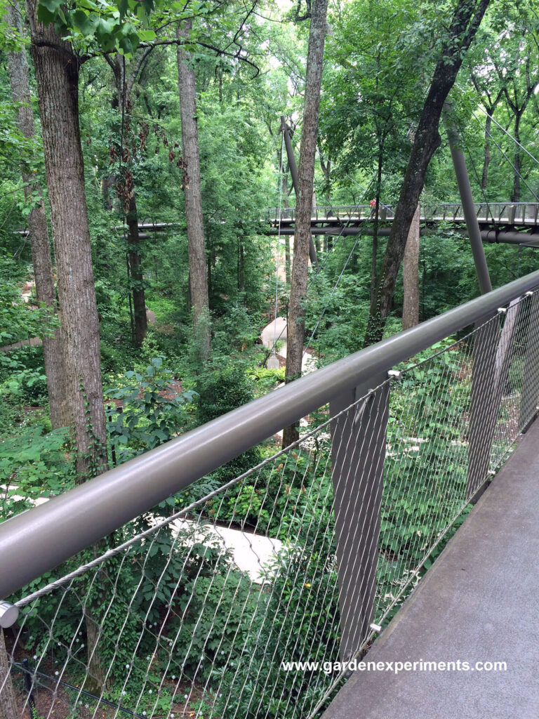 Overlooking the Azalea Garden