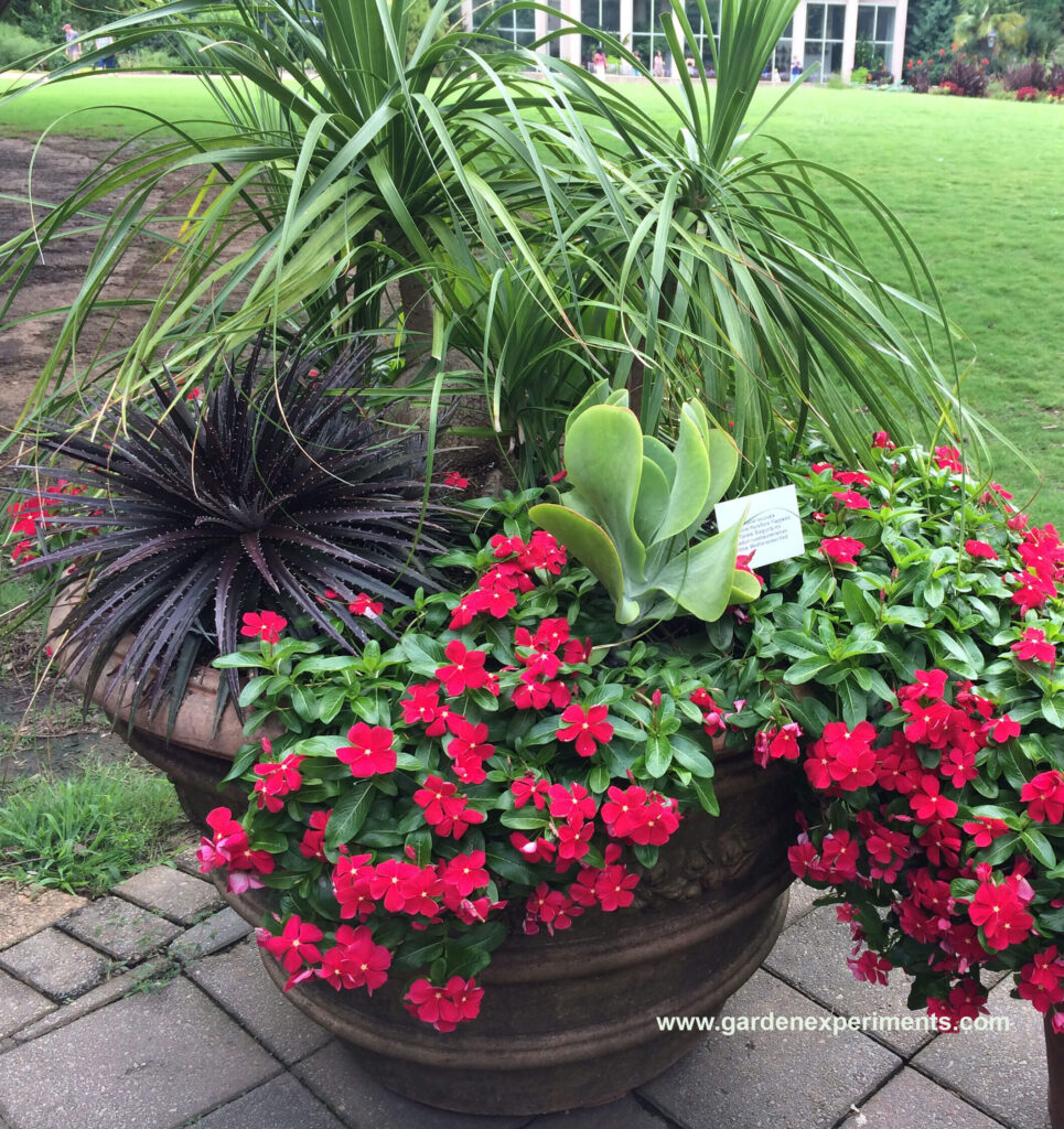 Container Garden