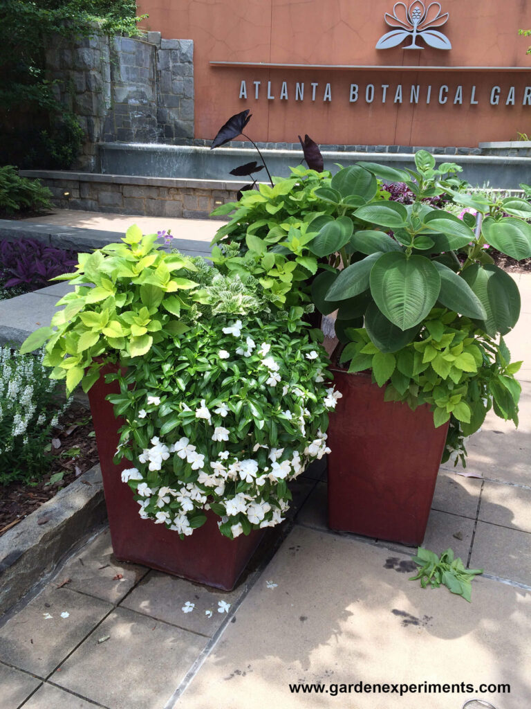 Container Garden