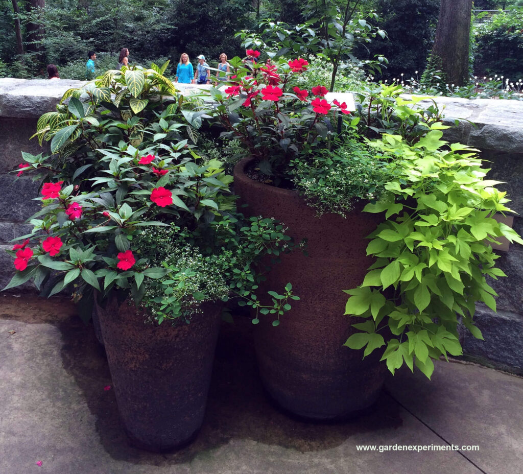 Container Garden