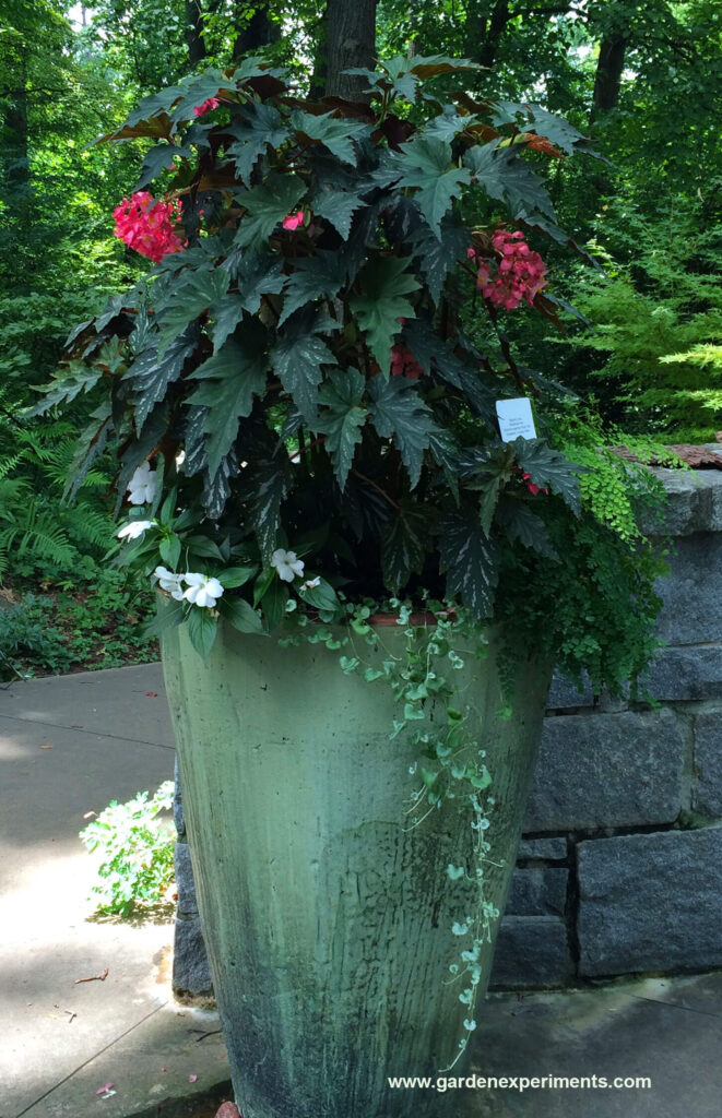 Container Garden