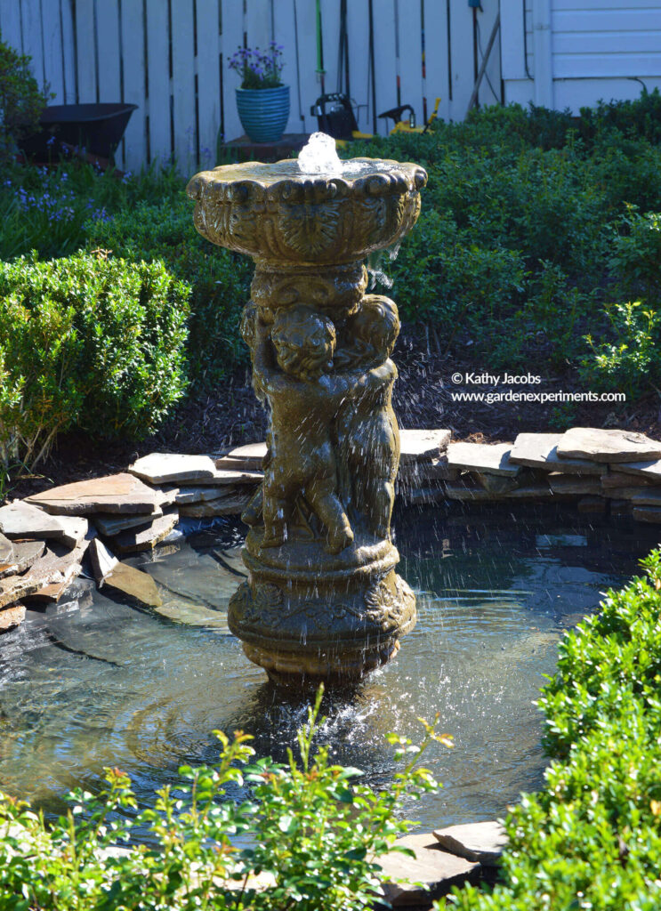 Gazing Pool at Colonnade Garden