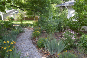 Front garden and walkway