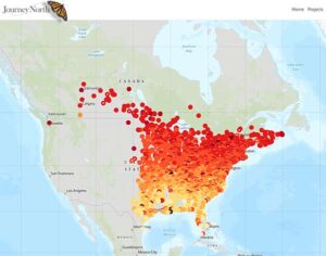 Hummingbird migration ma