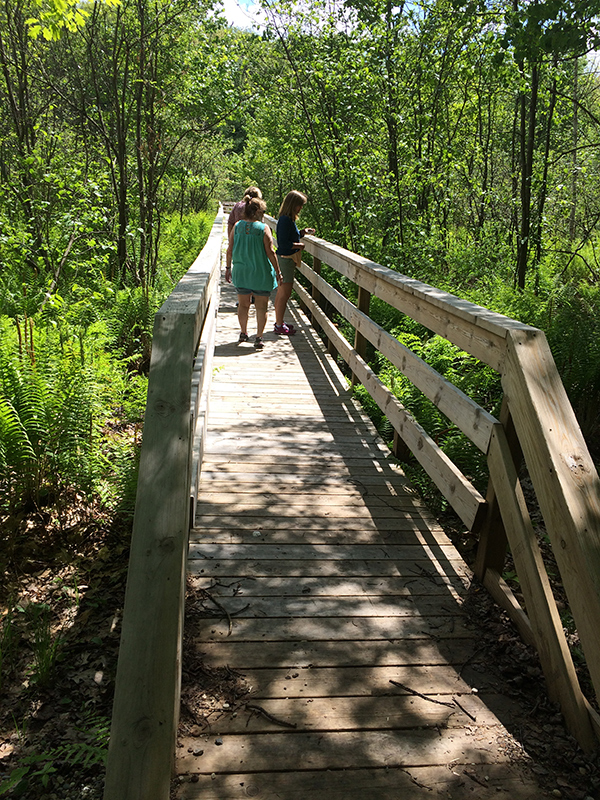 Loda Lake Boardwalk