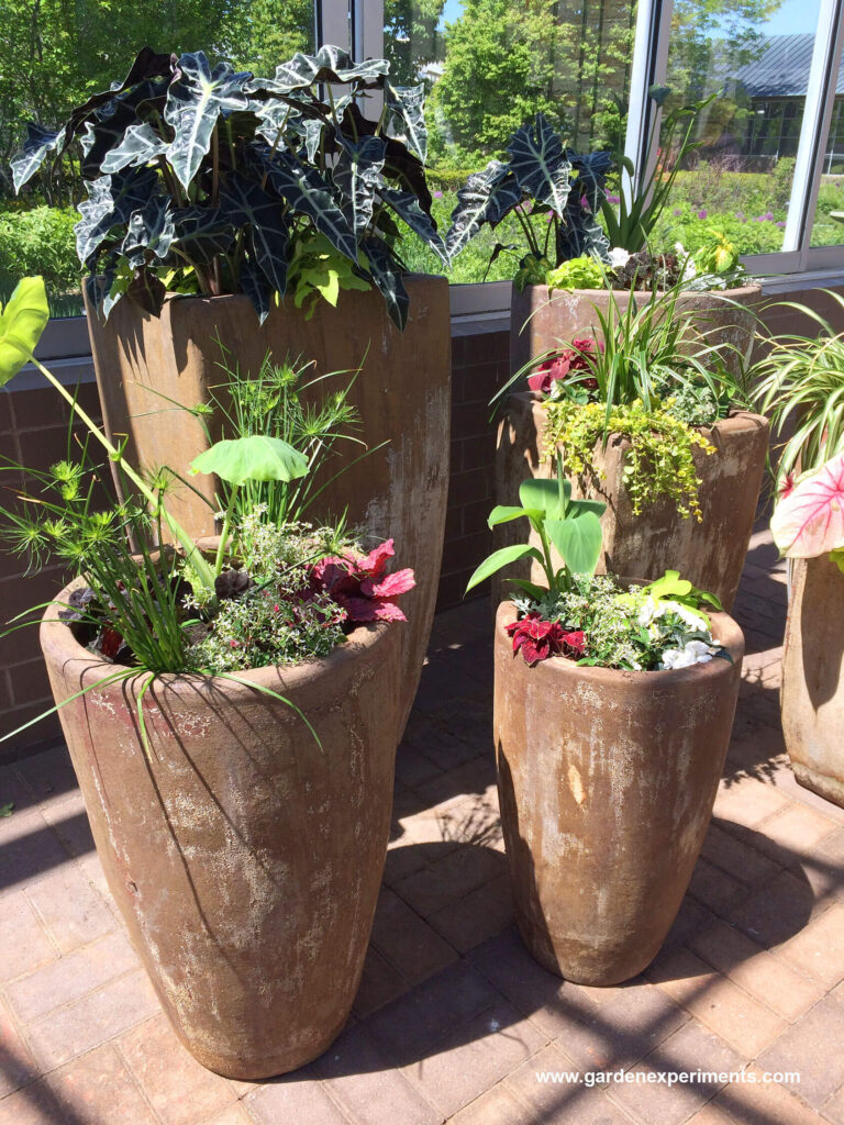 Tall planters at the entrance to the gardens