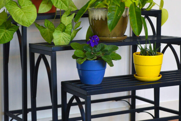 Plant Stand Trio in My Living Room