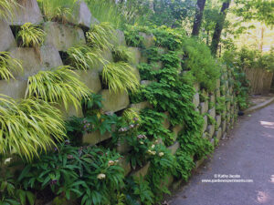 Living Wall at the Zoo