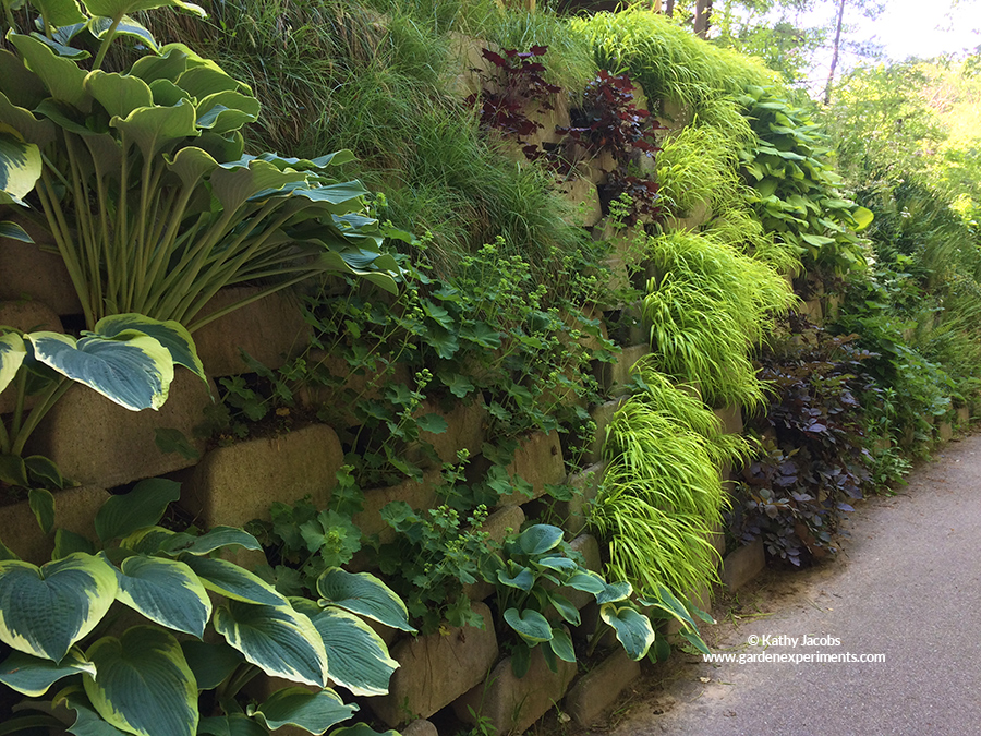 Living Wall of Shade Plants