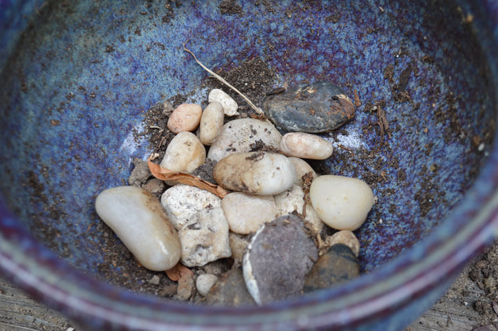 Stones in Bottom of Planter