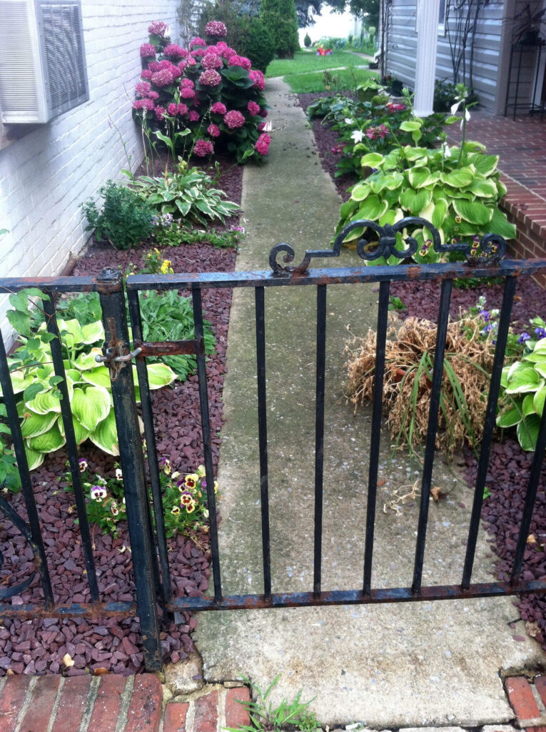 Shade garden with shrubs