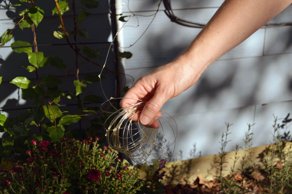 Take the lights off the coil but keep them looped for easier stringing through small spaces