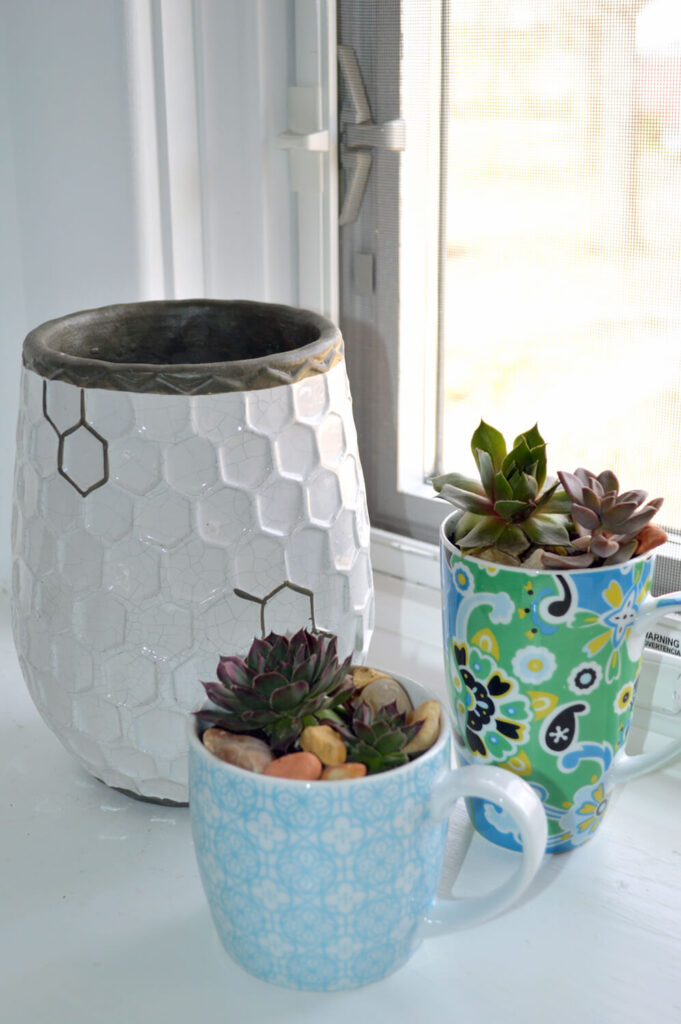 Teacup planters