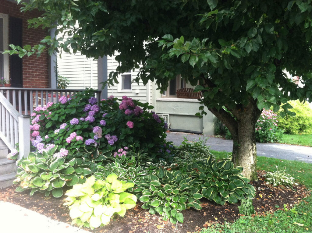 In PA I saw this bed which incorporated this small tree