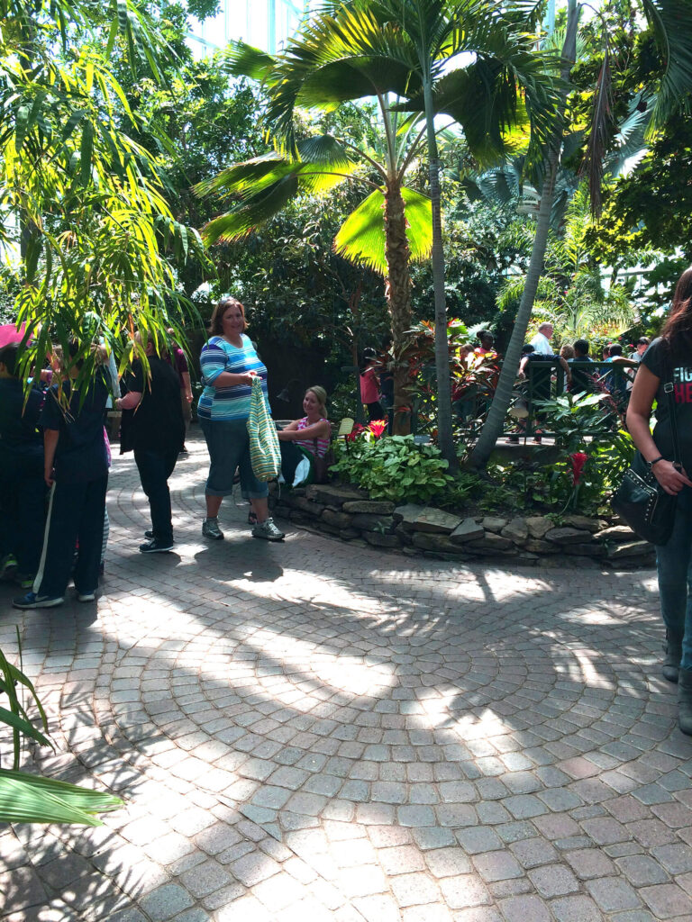 The tropical conservatory