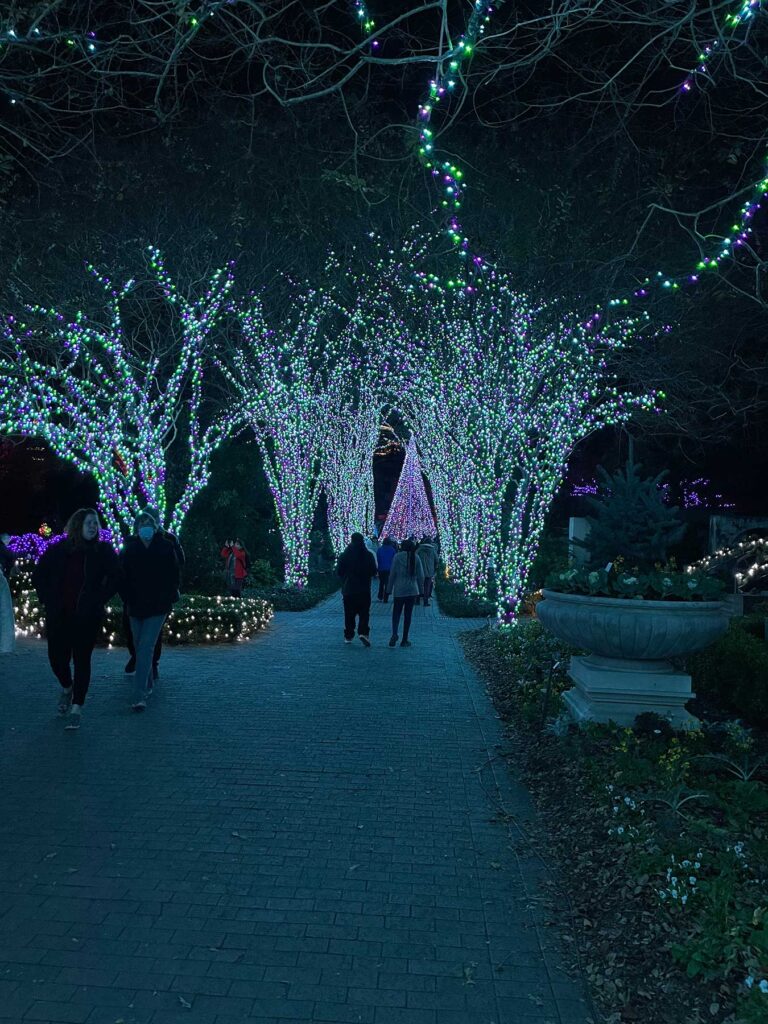 Twinkling Terrace at the Garden Lights, Holiday Nights at Atlanta Botanical Garden