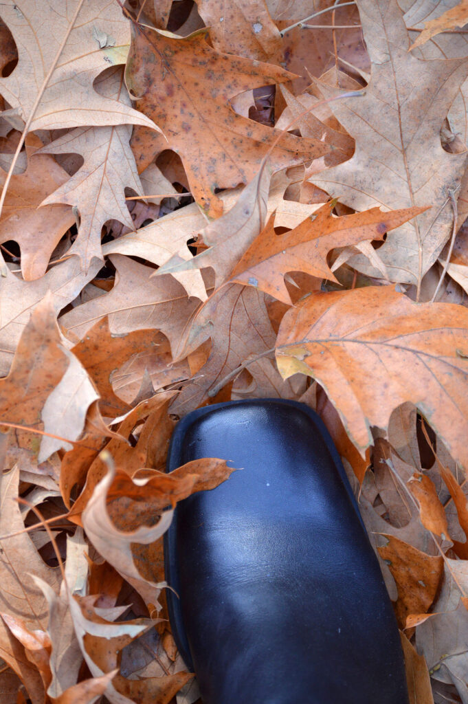 Walking in the leaves