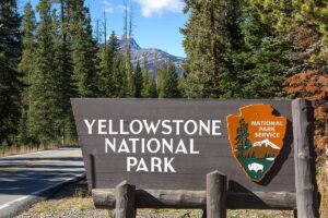 Yellowstone National Park sign with a road and large conifer trees