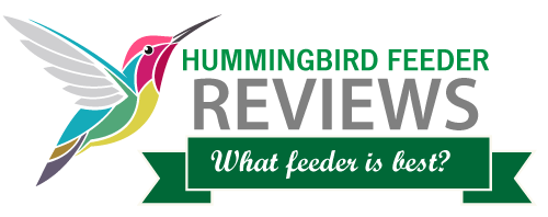 hbird-feeder-reviews